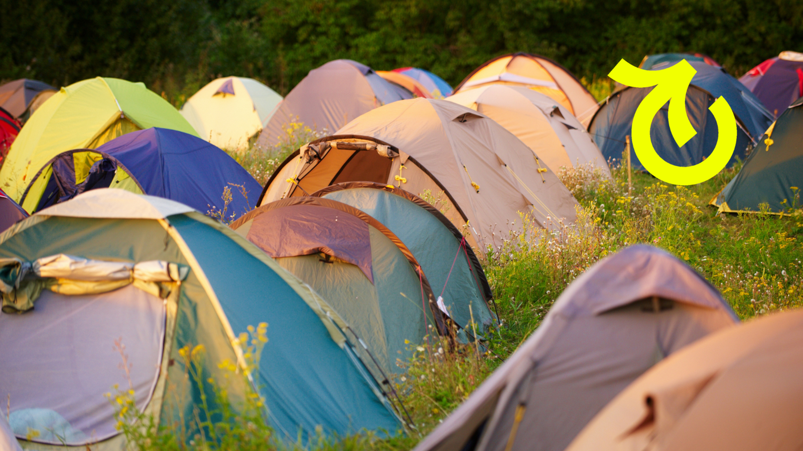 Festival & kampeergerief